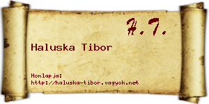 Haluska Tibor névjegykártya